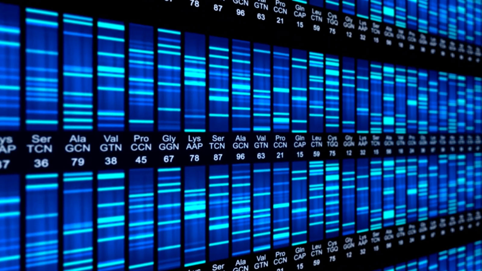 DNA Mapping