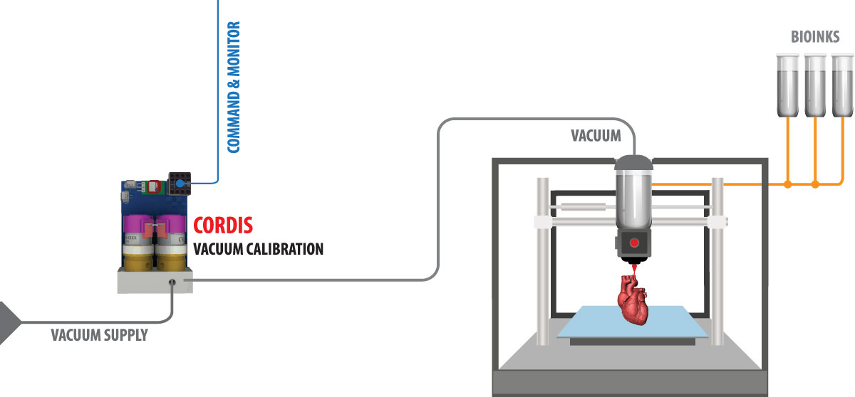 Cordis Application: 3D Bioprinting (Vacuum)