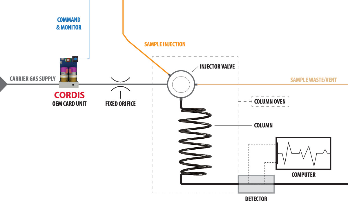 Cordis Application: Gas Chromatography