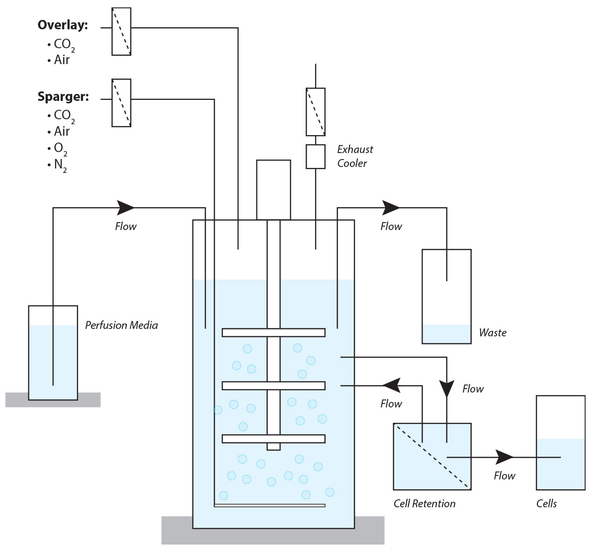 Perfusion Bioreactor Diagram